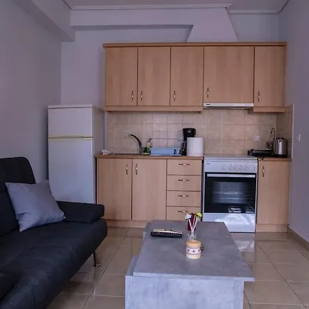 Apartment Spacious Studio In